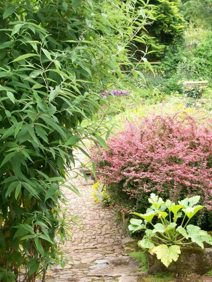 أوكيهامبتن Middletown Farmhouse B&B المظهر الخارجي الصورة