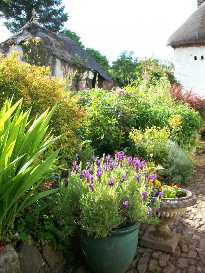 أوكيهامبتن Middletown Farmhouse B&B المظهر الخارجي الصورة